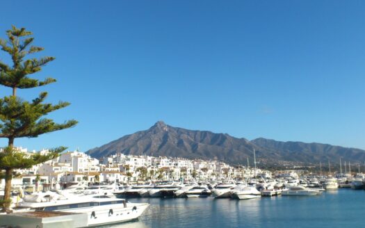 Stunning view of Marbella port with luxurious boats and upscale houses along the waterfront
